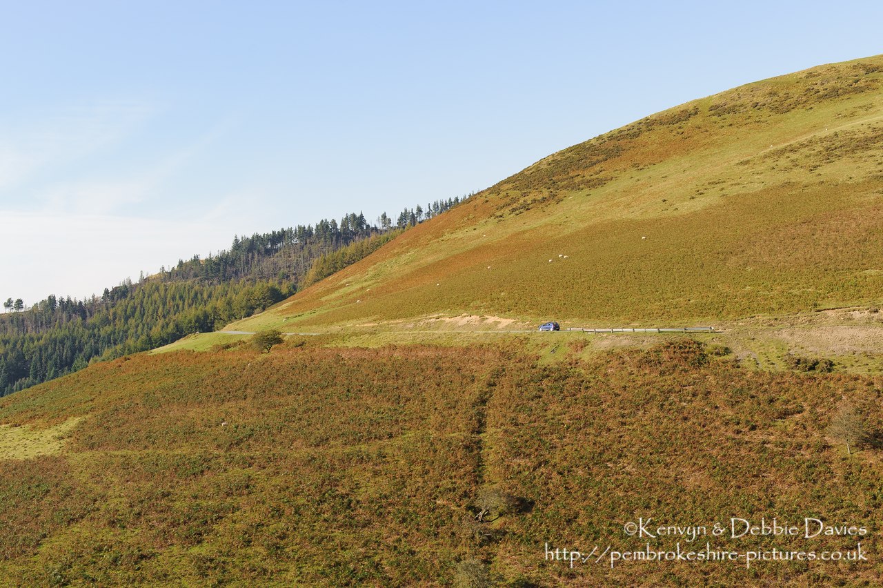 Often overlooked in favour of the Brecon Beacons and Snowdonia, the Cambrian Mountains in mid Wales are beautiful and the source of the Rivers Wye and Severn!